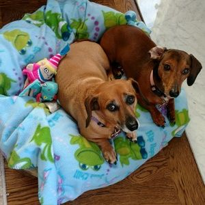 Meet your Posher, Lisa